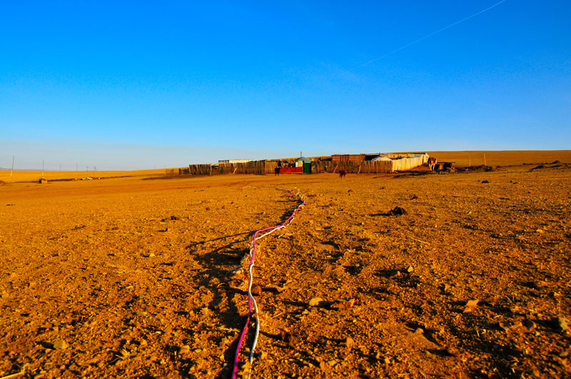 Mongolie